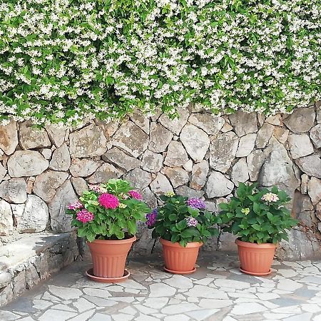 Villa Gromaca Omišalj Esterno foto